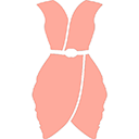 female-sexy-dress_318-42937